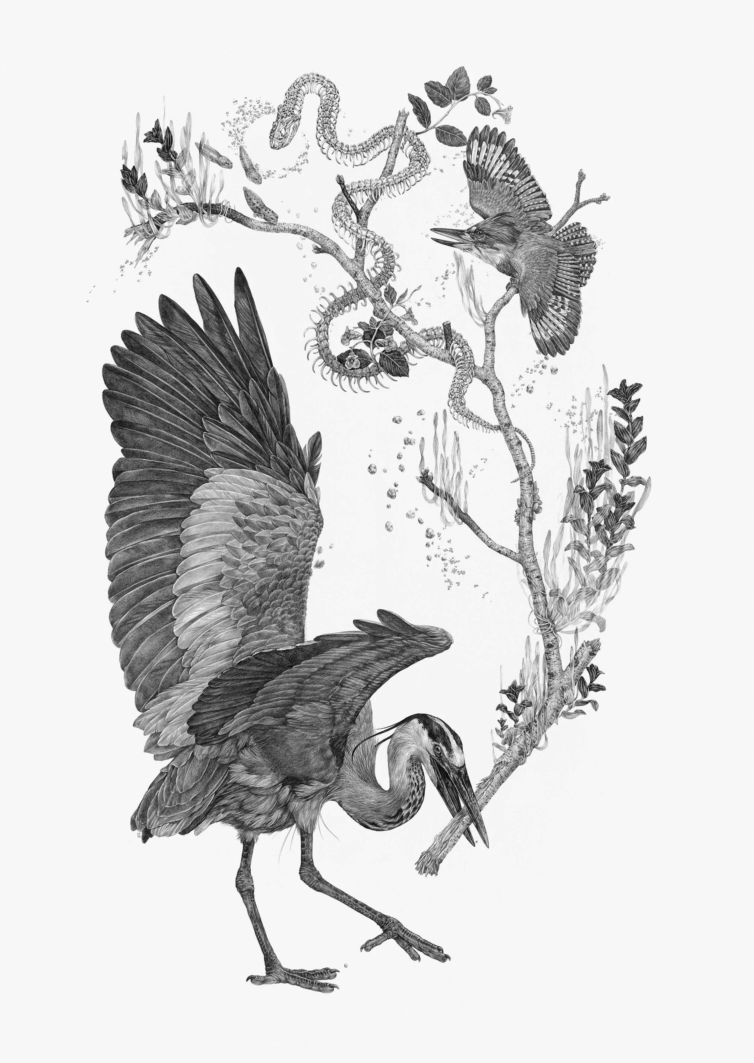 Shop Partner Galleries — Zoe Keller Nature Art